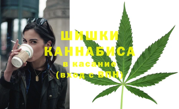 прущая мука Нея