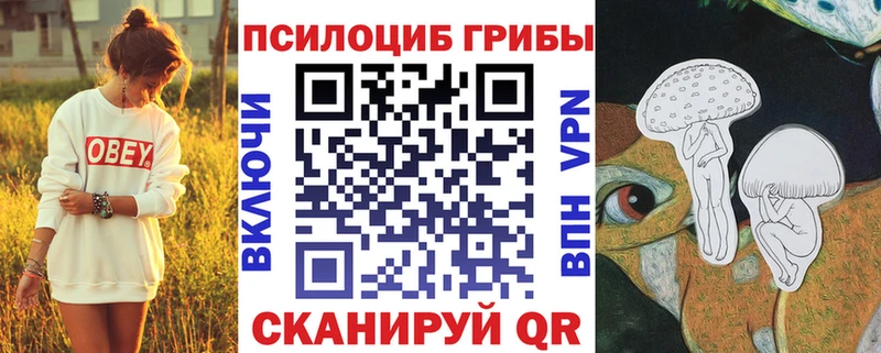 Галлюциногенные грибы ЛСД  где продают   OMG ТОР  Павлово 