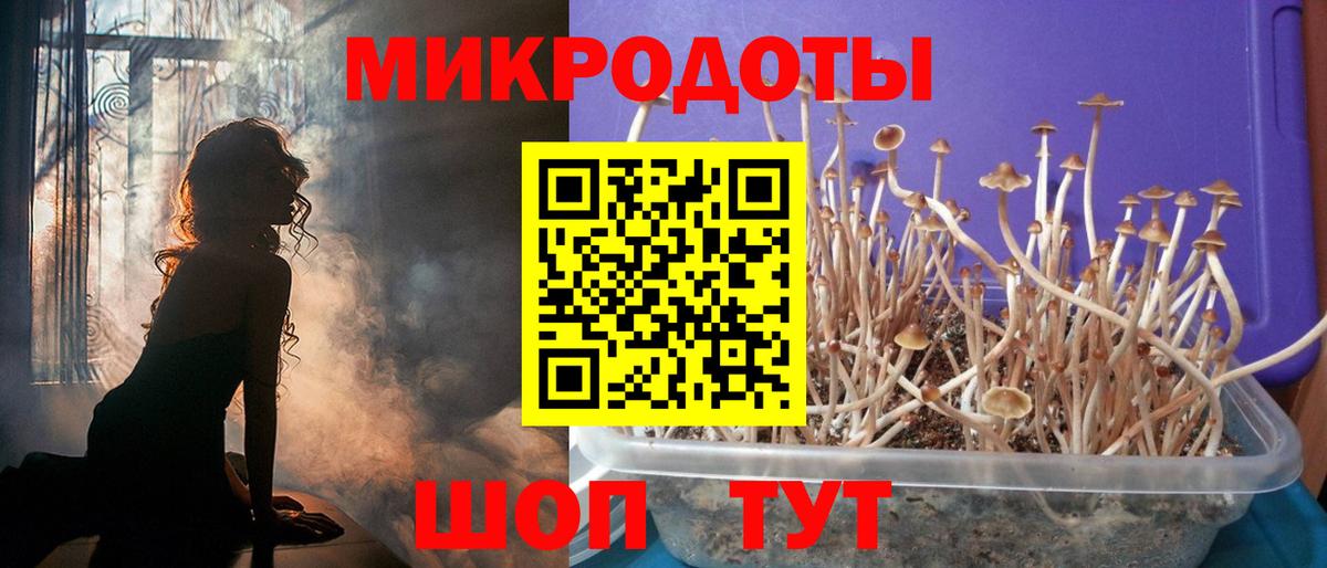 Галлюциногенные грибы Magic Shrooms  как найти закладки  Павлово  Вход с VPN 